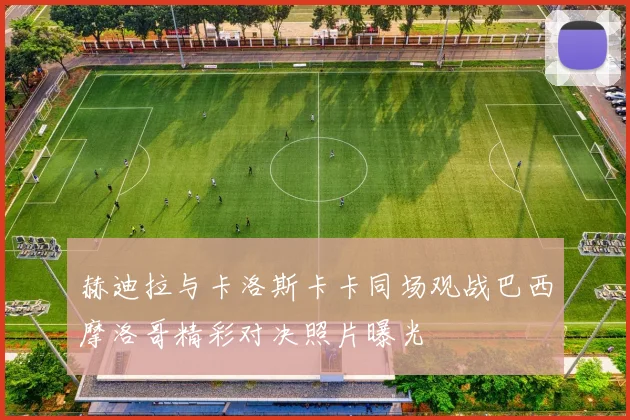 赫迪拉与卡洛斯卡卡同场观战巴西摩洛哥精彩对决照片曝光
