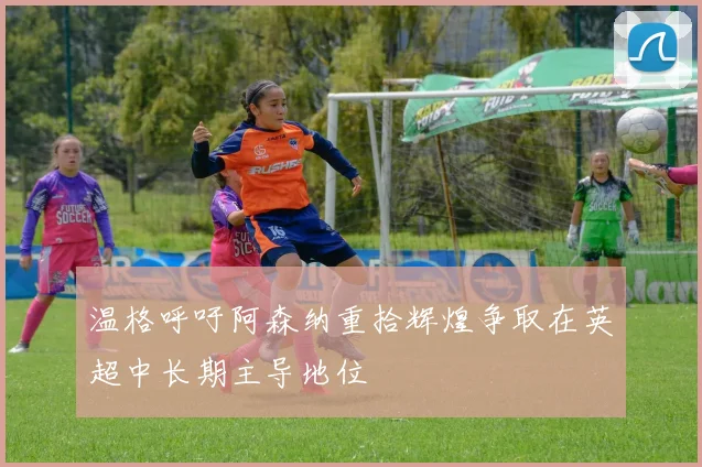 温格呼吁阿森纳重拾辉煌争取在英超中长期主导地位