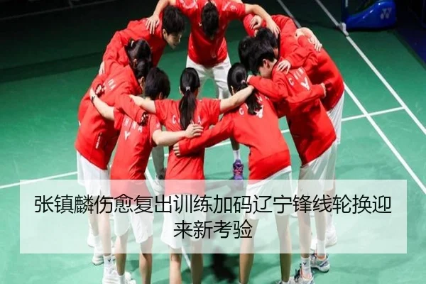 张镇麟伤愈复出训练加码辽宁锋线轮换迎来新考验 | haobosports